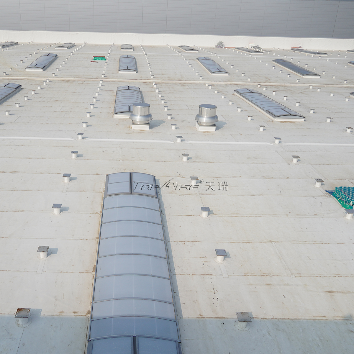TOPRISE Continuous Rooflights (16)