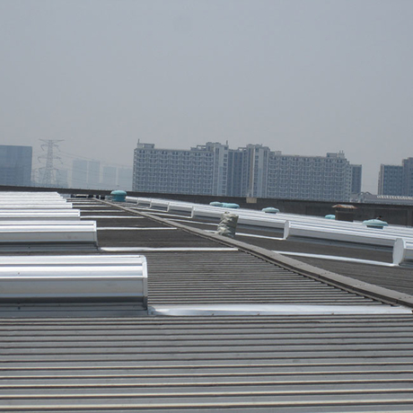 High Performance Ridge Ventilator Supplier for Extreme Weather